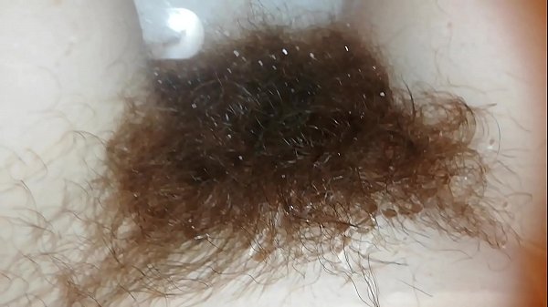 arbusto peludo